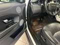 Land Rover Range Rover Evoque Range Rover Evoque 2.0 TD4 150 CV 5p. SE Dynamic Bianco - thumbnail 5