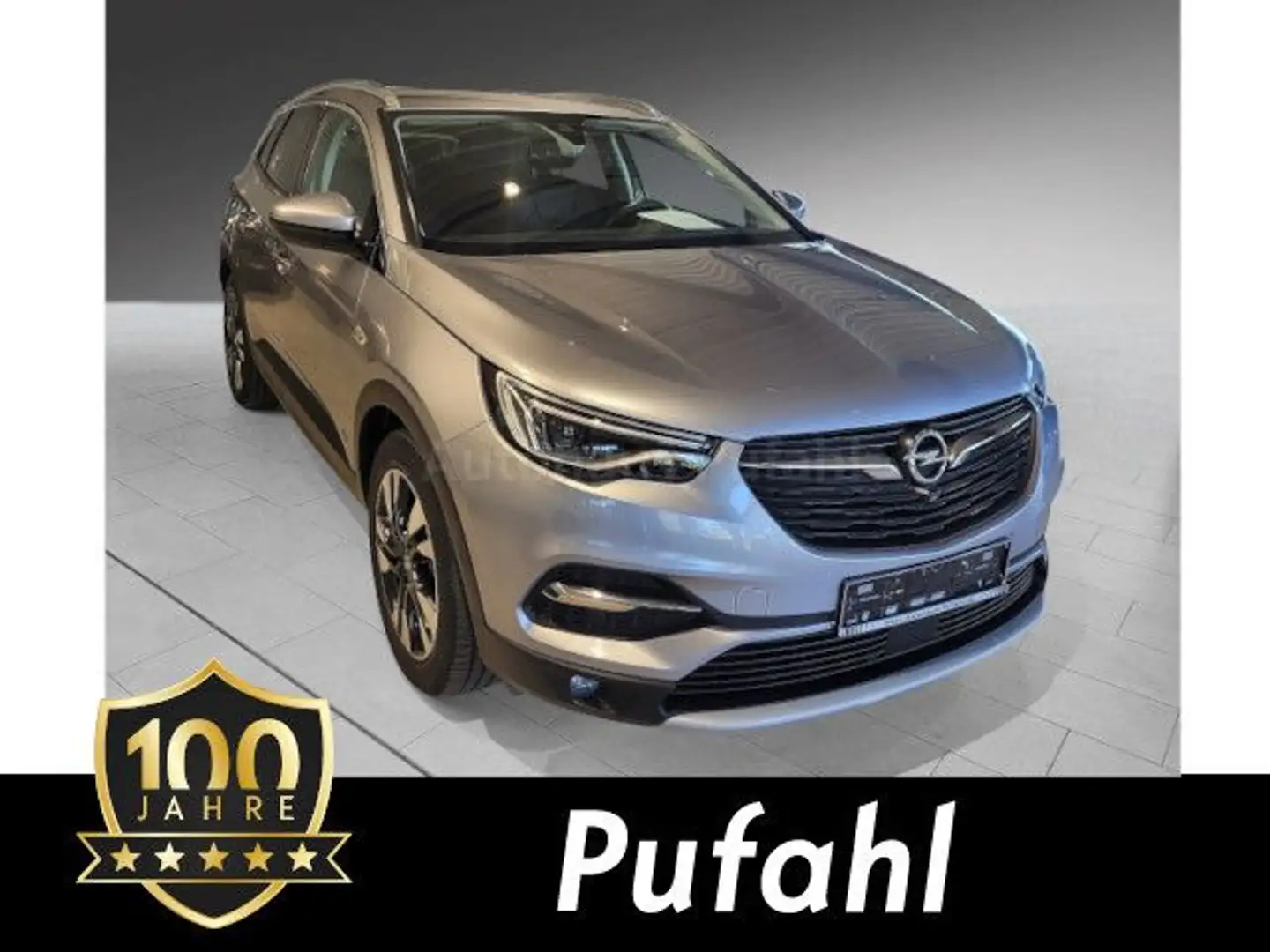 Opel Grandland X Riesenauswahl zum Top Preis Gris - 1