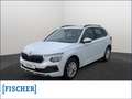 Skoda Kamiq 1.0TSI Selection LED Navi PDC hinten Weiß - thumbnail 1