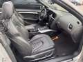 Audi A5 Cabriolet 3.0 TFSI S5 quattro Pro Line /NAP / Gara Grau - thumbnail 24