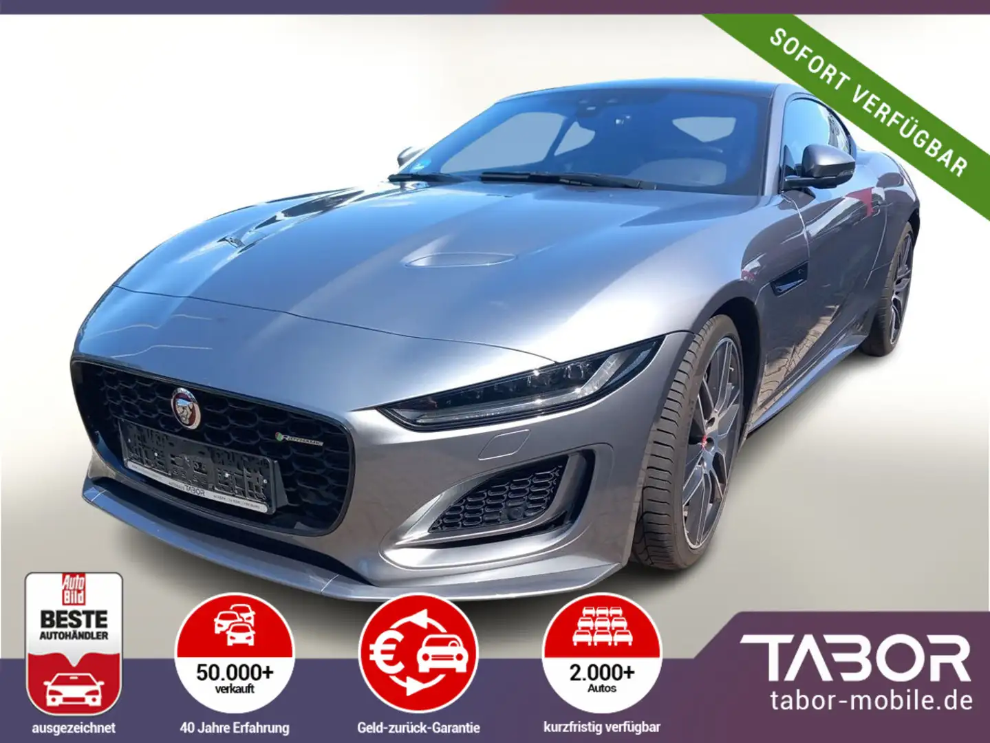 Jaguar F-Type 2.0 P300 R-Dyn DesignP LederP 20Z Grau - 2