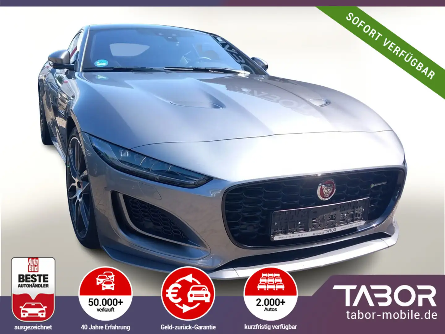 Jaguar F-Type 2.0 P300 R-Dyn DesignP LederP 20Z Grau - 1