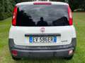Fiat Panda 0.9 t.air t. natural power Lounge 80cv Bianco - thumbnail 6