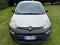 Fiat Panda 0.9 t.air t. natural power Lounge 80cv Bianco - thumbnail 1