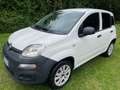 Fiat Panda 0.9 t.air t. natural power Lounge 80cv Bianco - thumbnail 7