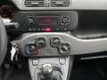 Fiat Panda 0.9 t.air t. natural power Lounge 80cv Bianco - thumbnail 8