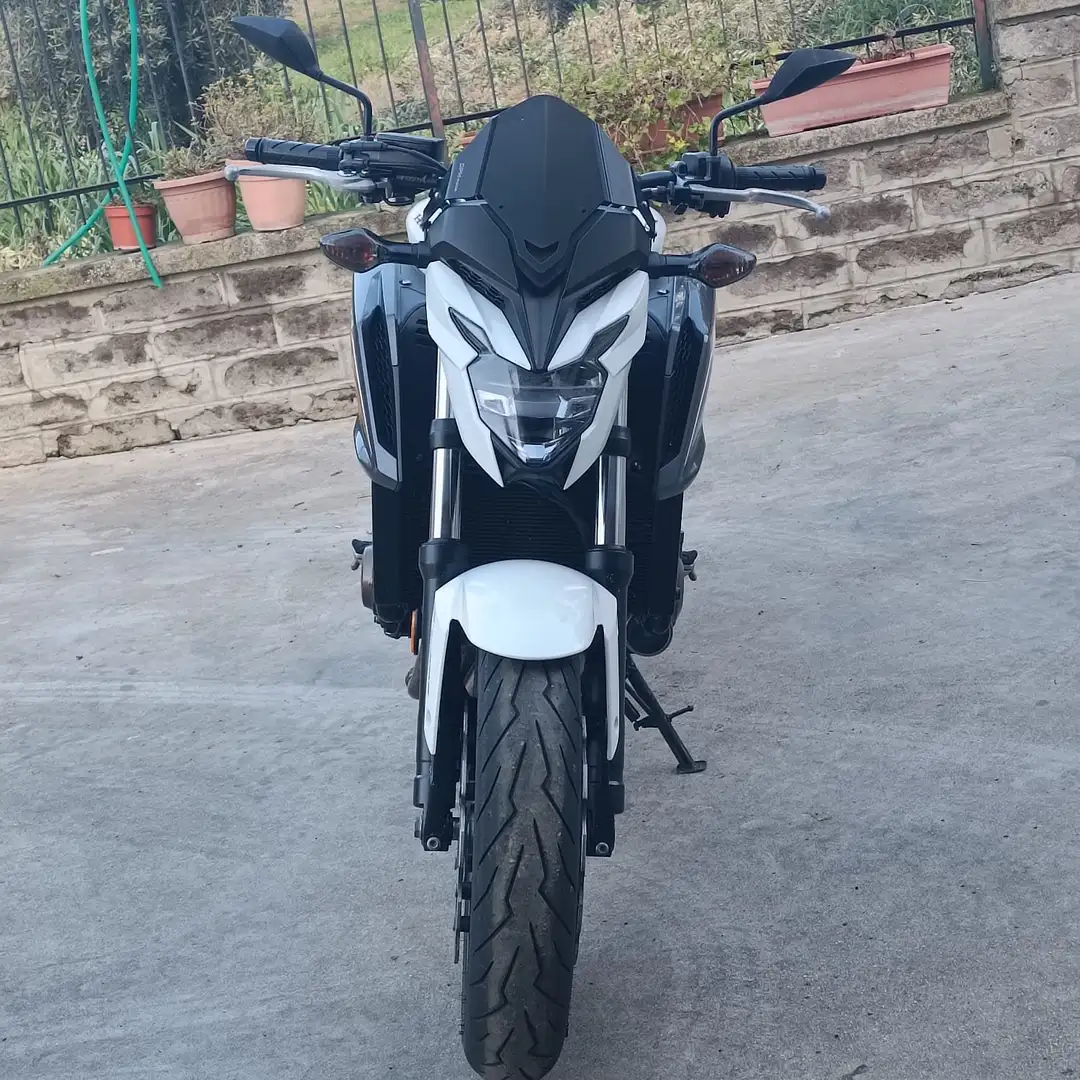 Honda CB 650 Blanco - 2