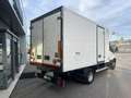 Iveco Daily 60C15FrigoFNAX-20°CATP12 274000x2105x1900kg2560 Blanc - thumbnail 6