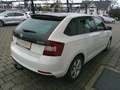 Skoda Rapid/Spaceback Rapid Spaceback 1,0 TSI Sport Weiß - thumbnail 3