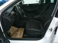 Skoda Rapid/Spaceback Rapid Spaceback 1,0 TSI Sport Weiß - thumbnail 24