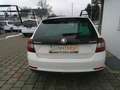 Skoda Rapid/Spaceback Rapid Spaceback 1,0 TSI Sport Weiß - thumbnail 4
