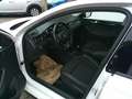 Skoda Rapid/Spaceback Rapid Spaceback 1,0 TSI Sport Weiß - thumbnail 21