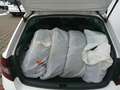 Skoda Rapid/Spaceback Rapid Spaceback 1,0 TSI Sport Weiß - thumbnail 6