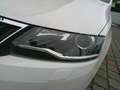 Skoda Rapid/Spaceback Rapid Spaceback 1,0 TSI Sport Weiß - thumbnail 10