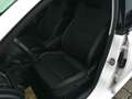 Skoda Rapid/Spaceback Rapid Spaceback 1,0 TSI Sport Weiß - thumbnail 22