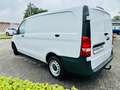 Mercedes-Benz Vito 114 CDI Kasten LANG, Autom, Distronic, AHK, PTS, Weiß - thumbnail 4