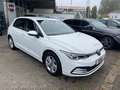 Volkswagen Golf 8 2.0TDI DSG Life Blanc - thumbnail 1