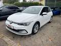 Volkswagen Golf 8 2.0TDI DSG Life Blanc - thumbnail 5