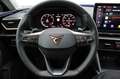 CUPRA Leon 2.0 TDI DSG LED Nav Fahras 19" Anschlussgar Schwarz - thumbnail 12