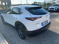 Mazda CX-30 2.0L e-Skyactiv-G M Hybrid 2WD Executive Bianco - thumbnail 7