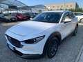 Mazda CX-30 2.0L e-Skyactiv-G M Hybrid 2WD Executive Bianco - thumbnail 1