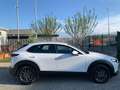 Mazda CX-30 2.0L e-Skyactiv-G M Hybrid 2WD Executive Bianco - thumbnail 4