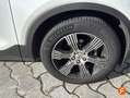 Volvo XC40 D3 Momentum AWD Aut. Blanco - thumbnail 25
