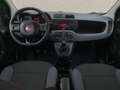Fiat Panda Panda III 1.2 Easy 69cv * SUPER PROMO Grau - thumbnail 9
