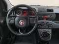 Fiat Panda Panda III 1.2 Easy 69cv * SUPER PROMO Grau - thumbnail 11
