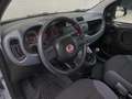 Fiat Panda Panda III 1.2 Easy 69cv * SUPER PROMO Grau - thumbnail 7
