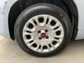 Fiat Panda Panda III 1.2 Easy 69cv * SUPER PROMO Grau - thumbnail 15