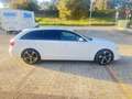 Audi A4 Avant 2.0 tdi Advanced quattro - thumbnail 8