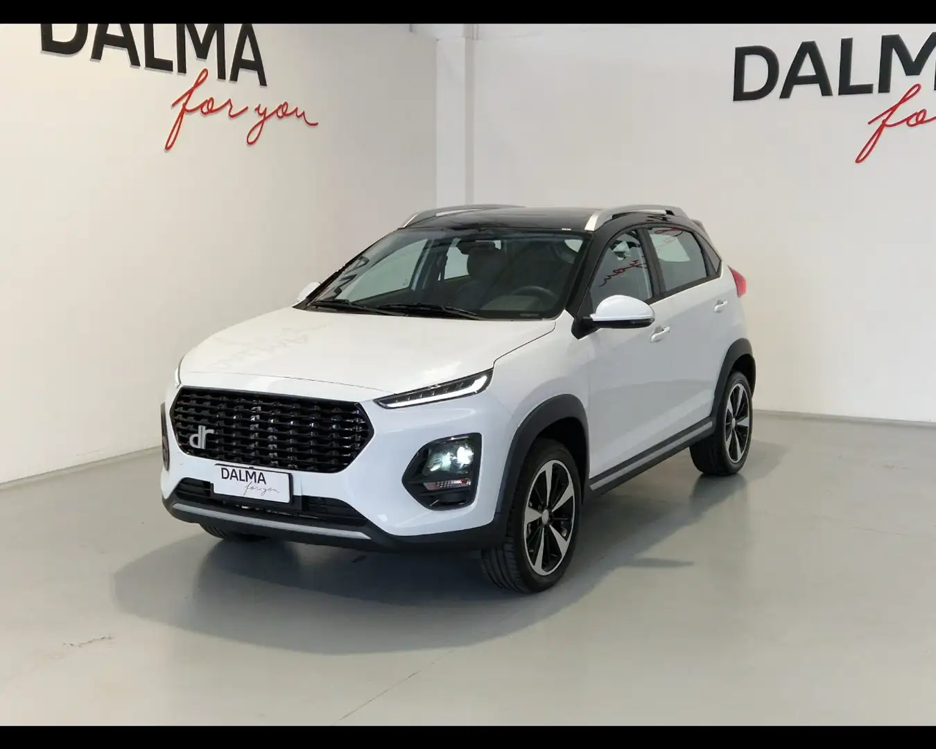 DR Automobiles DR 3.0 1.5 Bi-Fuel Silber - 2