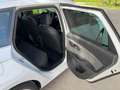 SEAT Leon ST 1.6 tdi Xcellence 115cv Bianco - thumbnail 9