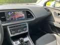 SEAT Leon ST 1.6 tdi Xcellence 115cv Bianco - thumbnail 6