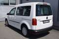 Volkswagen Caddy Kombi 2,0 TDI / NETTO: 10.816 € Weiß - thumbnail 4