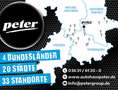 Studebaker Champion Grau - thumbnail 20