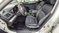 Subaru OUTBACK 2.0 Free lineartronic17 PER OPERATORI/COMMERCIANTI Bianco - thumbnail 5