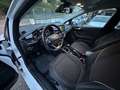 Ford Fiesta VII 5p 1.5 TDCi 120cv Titanium Bianco - thumbnail 10