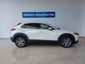 Mazda CX-30 2.0 Skyactiv-G Zenith 2WD 90kW Blanco - thumbnail 31