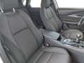 Mazda CX-30 2.0 Skyactiv-G Zenith 2WD 90kW Blanco - thumbnail 13