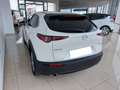 Mazda CX-30 2.0 Skyactiv-G Zenith 2WD 90kW Blanco - thumbnail 7
