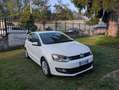 Volkswagen Polo Polo 1.2 70 CV 5p. Comfortline UNICO PROPRIETARIO Bianco - thumbnail 1
