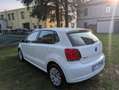 Volkswagen Polo Polo 1.2 70 CV 5p. Comfortline UNICO PROPRIETARIO Bianco - thumbnail 5