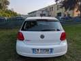 Volkswagen Polo Polo 1.2 70 CV 5p. Comfortline UNICO PROPRIETARIO Bianco - thumbnail 6