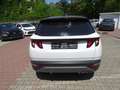 Hyundai TUCSON 1.6 Mild-Hybrid 2WD Automatik Weiß - thumbnail 4