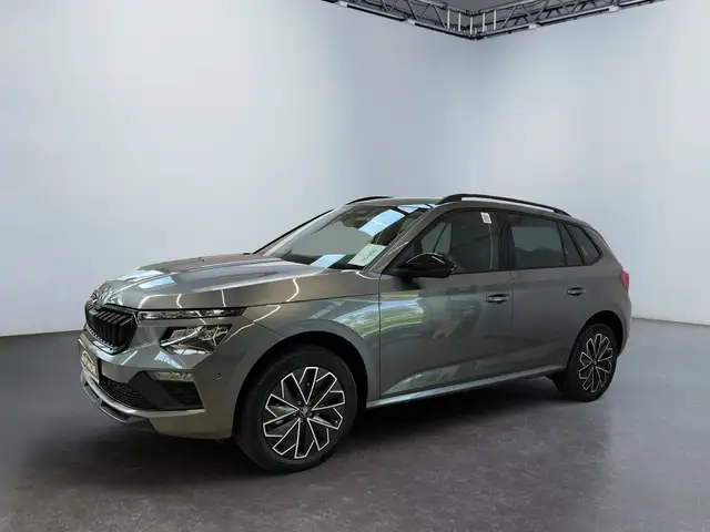 Skoda Kamiq view 2