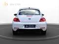 Volkswagen Beetle Lim. Design |Navi|PDC|SHZ Weiß - thumbnail 6