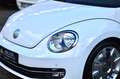 Volkswagen Beetle Lim. Design |Navi|PDC|SHZ Weiß - thumbnail 18