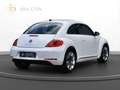 Volkswagen Beetle Lim. Design |Navi|PDC|SHZ Weiß - thumbnail 3